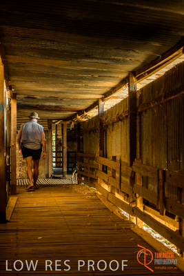 February 2018 / BFM_SUNNYSIDE_AGRI_Minlaton_180205_096