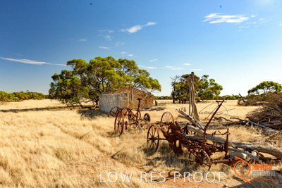 February 2018 / BFM_SUNNYSIDE_AGRI_Minlaton_180205_131