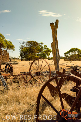 February 2018 / BFM_SUNNYSIDE_AGRI_Minlaton_180205_140