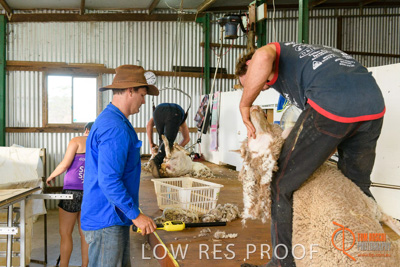 February 2018 / BFM_LAWRIE_Tumby_Bay_180209_091