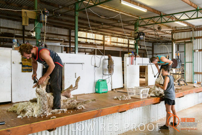 February 2018 / BFM_LAWRIE_Tumby_Bay_180209_092