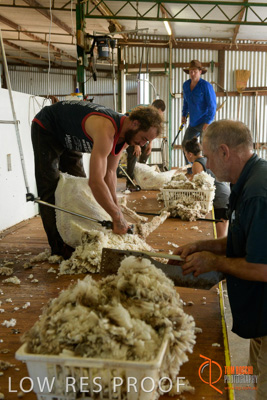 February 2018 / BFM_LAWRIE_Tumby_Bay_180209_122