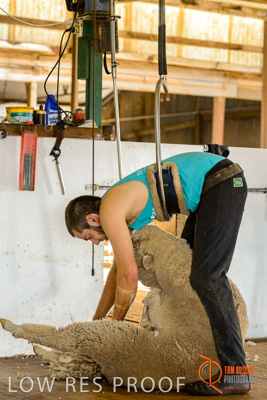 February 2018 / BFM_LAWRIE_Tumby_Bay_180209_128