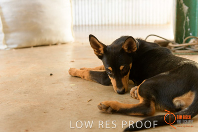 February 2018 / BFM_LAWRIE_Tumby_Bay_180209_147