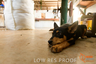 February 2018 / BFM_LAWRIE_Tumby_Bay_180209_148