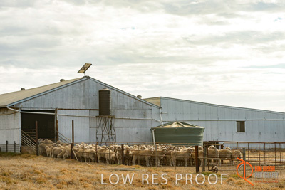 February 2018 / BFM_LAWRIE_Tumby_Bay_180209_255