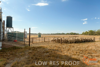 February 2018 / BFM_LAWRIE_Tumby_Bay_180209_258