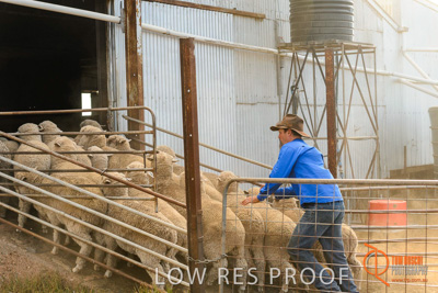 February 2018 / BFM_LAWRIE_Tumby_Bay_180209_272