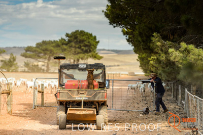 February 2018 / BFM_LAWRIE_Tumby_Bay_180209_413