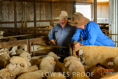 February 2018 / BFM_LAWRIE_Tumby_Bay_180209_424