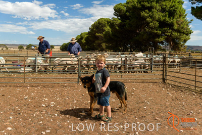 February 2018 / BFM_LAWRIE_Tumby_Bay_180209_585