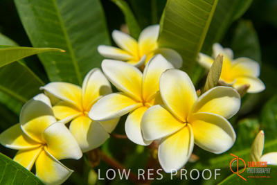 February 2018 / BFM_FULLARTON_LUTHERAN_HOMES_180216_104