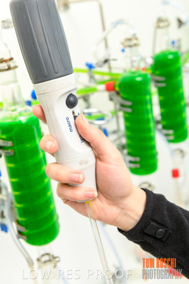 September 2018 / SHAW-SMITH_180924_026