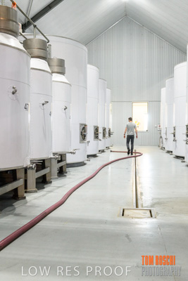 September 2018 / SHAW-SMITH_180924_033