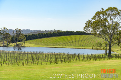 September 2018 / SHAW-SMITH_180924_041