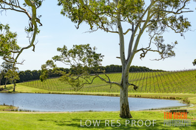 September 2018 / SHAW-SMITH_180924_042