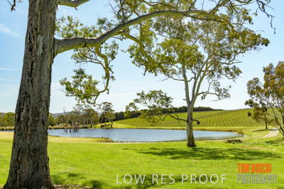 September 2018 / SHAW-SMITH_180924_043