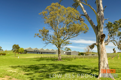 September 2018 / SHAW-SMITH_180924_044