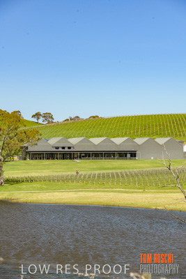 September 2018 / SHAW-SMITH_180924_047