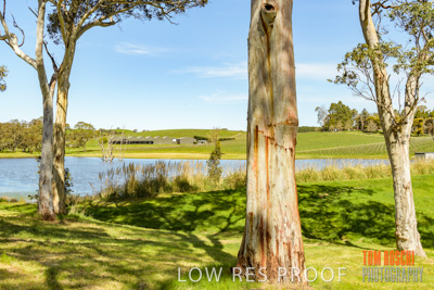 September 2018 / SHAW-SMITH_180924_048