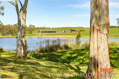 September 2018 / SHAW-SMITH_180924_049