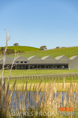 September 2018 / SHAW-SMITH_180924_050