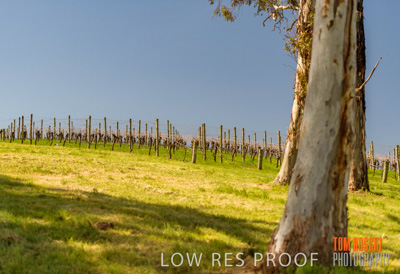 September 2018 / SHAW-SMITH_180924_052