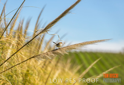 September 2018 / SHAW-SMITH_180924_054