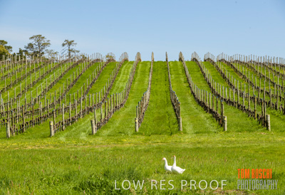 September 2018 / SHAW-SMITH_180924_056