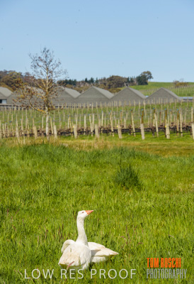 September 2018 / SHAW-SMITH_180924_057