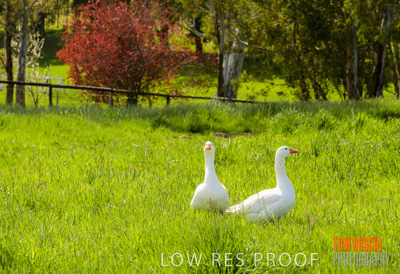 September 2018 / SHAW-SMITH_180924_058