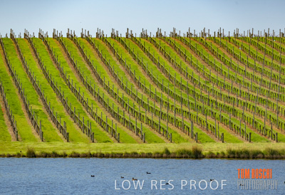 September 2018 / SHAW-SMITH_180924_060