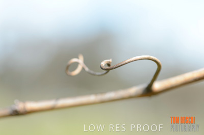 September 2018 / SHAW-SMITH_180924_061