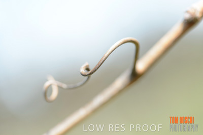 September 2018 / SHAW-SMITH_180924_062