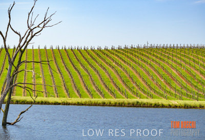 September 2018 / SHAW-SMITH_180924_063