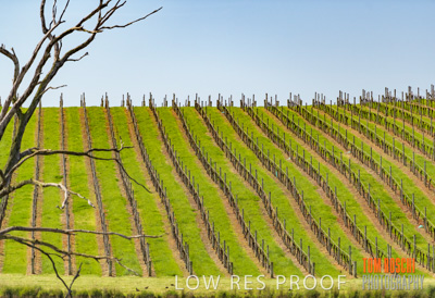 September 2018 / SHAW-SMITH_180924_064