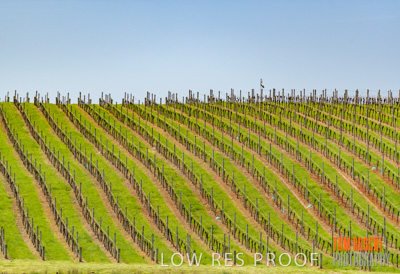 September 2018 / SHAW-SMITH_180924_065