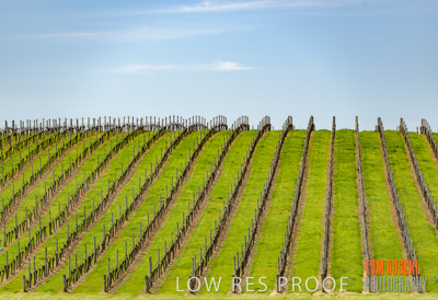 September 2018 / SHAW-SMITH_180924_066