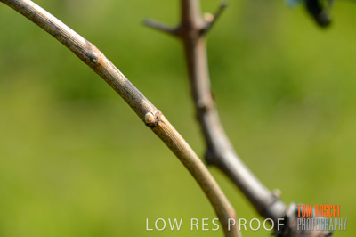 September 2018 / SHAW-SMITH_180924_067