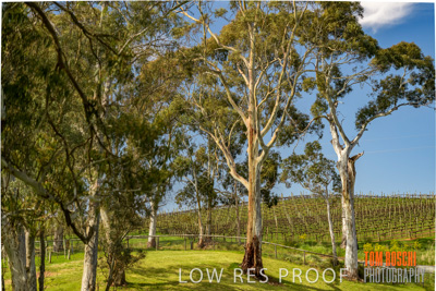 September 2018 / SHAW-SMITH_180924_072