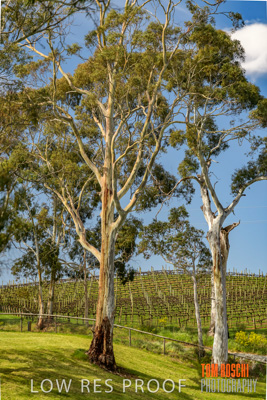 September 2018 / SHAW-SMITH_180924_073