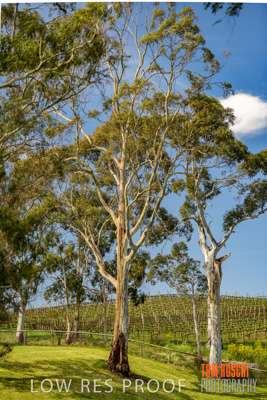 September 2018 / SHAW-SMITH_180924_074