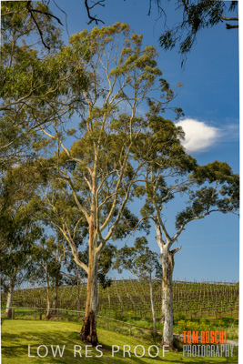 September 2018 / SHAW-SMITH_180924_075