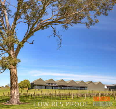 September 2018 / SHAW_SMITH_P10_180924_010