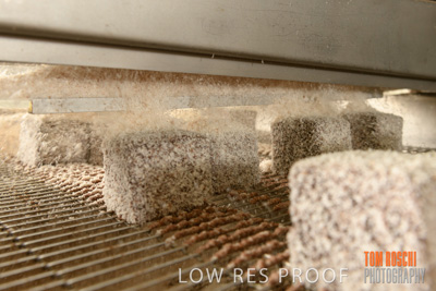 September 2018 / KEYTON's_BAKERY_180927_023