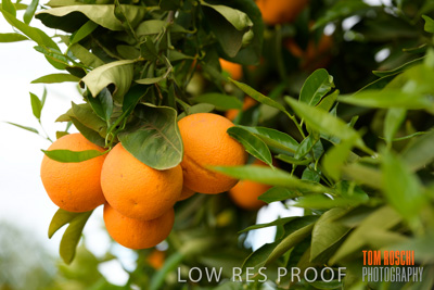 October 2018 / NIPPY's_181002_002