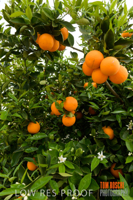 October 2018 / NIPPY's_181002_003