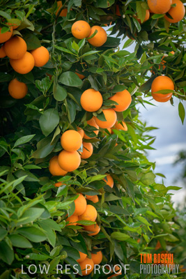 October 2018 / NIPPY's_181002_052