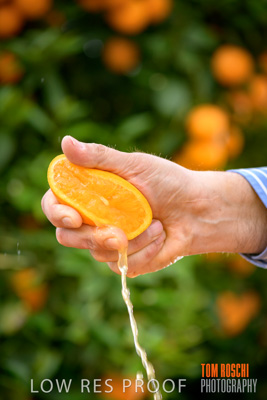 October 2018 / NIPPY's_181002_053