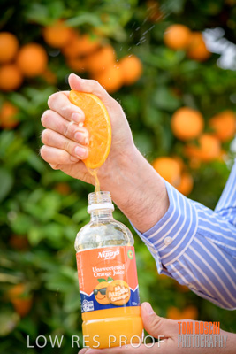 October 2018 / NIPPY's_181002_058